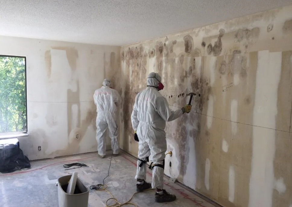 Mold Remediation for Condominium & Residential Buildings / UZCA ...